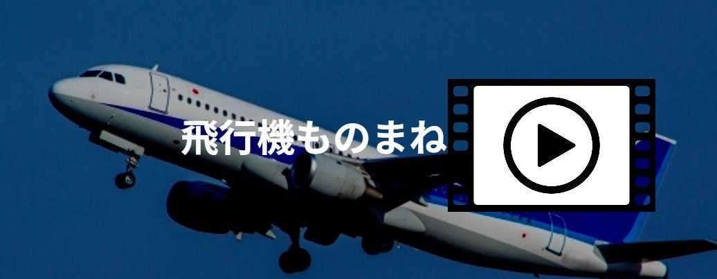 飛行機物真似動画写真